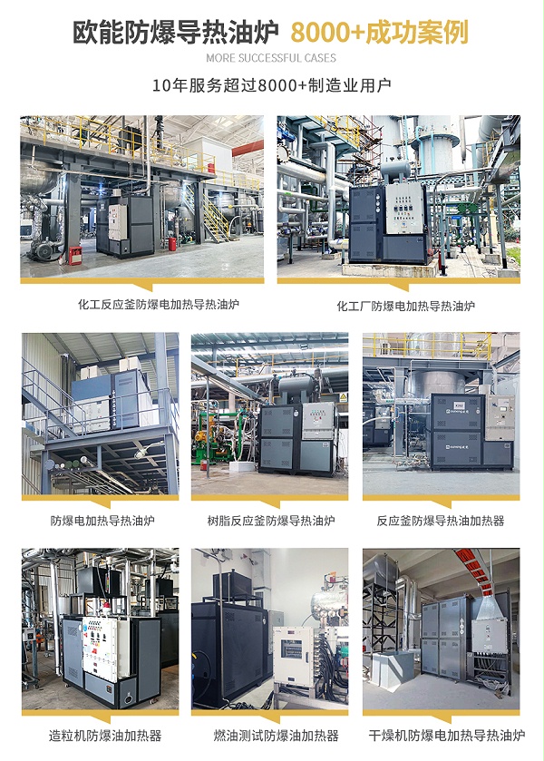 正压防爆导热油炉案例