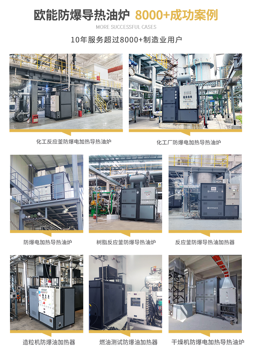 正压防爆导热油炉案例